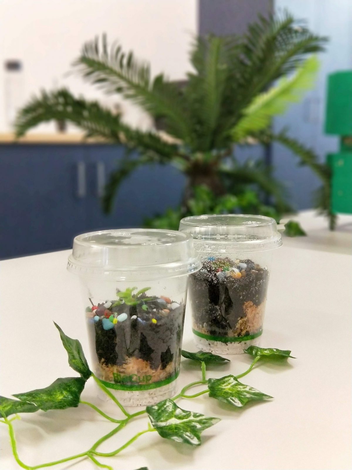 How To Build Your Own Ecosystem – Backyard Science at Science Space Wollongong